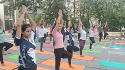11 th International Day of Yoga